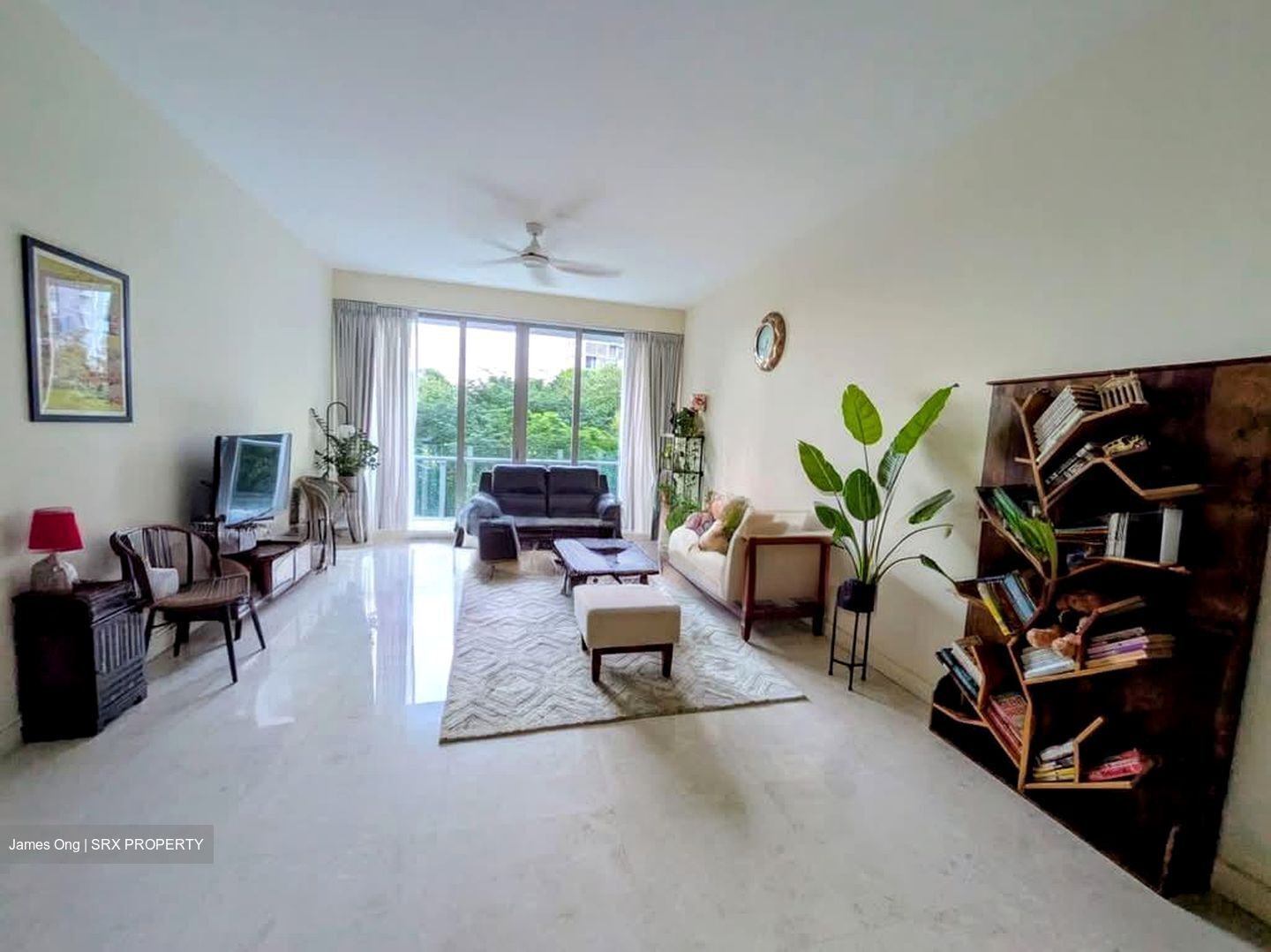 Cairnhill Crest (D9), Condominium #586144271